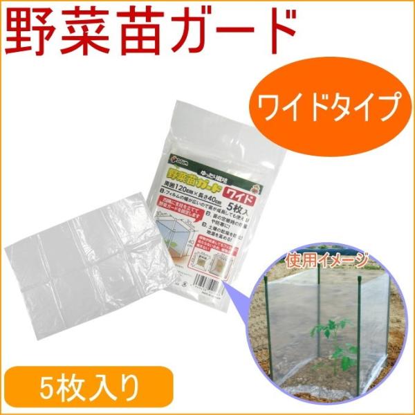 ؕcK[h Ch 5 K[fjO ƒ؉ x c