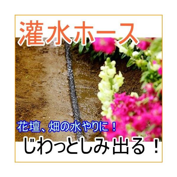 󐅃z[X KH-10 ƒ؉ ƒ_   z[X U