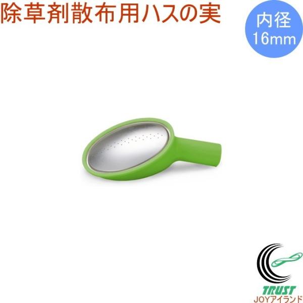 ܎UzpnX̎ { 傤 |pi  Uz |CgU nX̎ K[fjO Upi