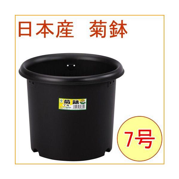 e 7 ubN 30 { P[Xo | K[fjO K[f  Aؔ ͔| vX`bN