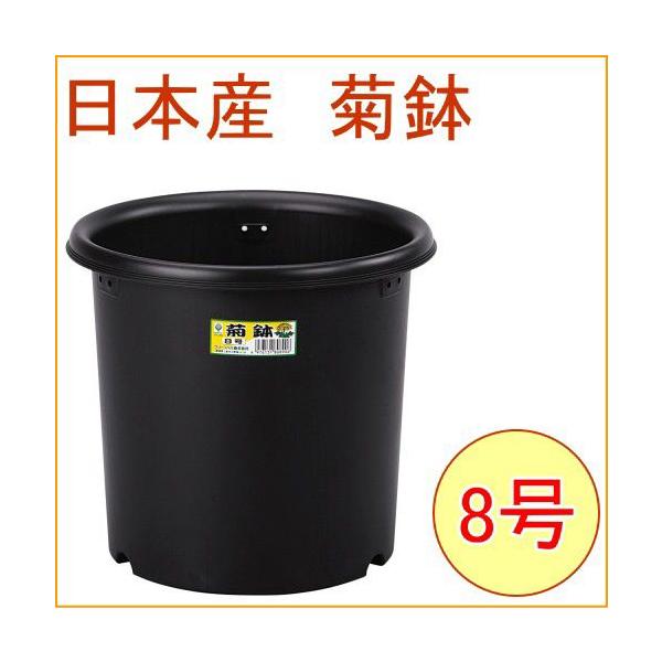 e 8 ubN 20 { P[Xo | K[fjO K[f  Aؔ ͔| vX`bN