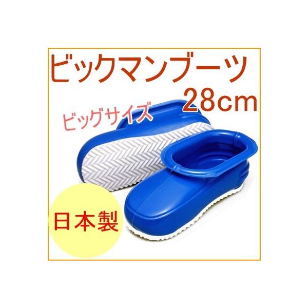 rbN}u[c u[ 28cm BT-14 C Cu[c oXu[c  C| {