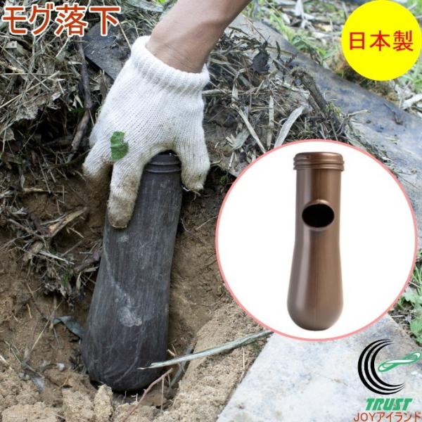 O EG-65 { O ߊl ߊl  ȒP bQ΍