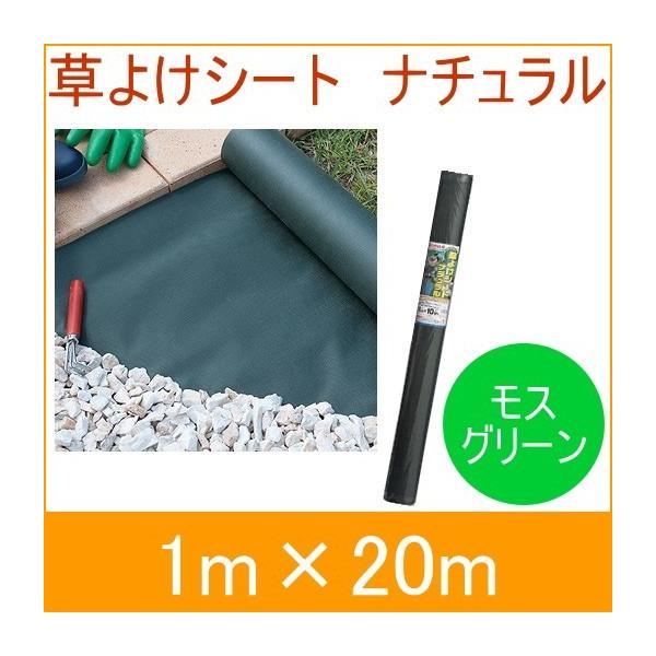 悯V[gi` XO[ 1m×20m[ hV[g Gh~V[g V[g h G ɖ 둢 