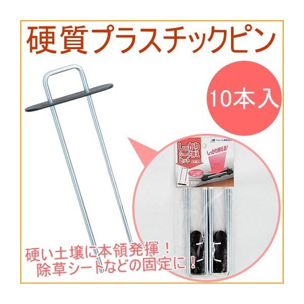 V[gZbg 10{  Œ ~ߋ   s V[g h sDz gl ؉ yO