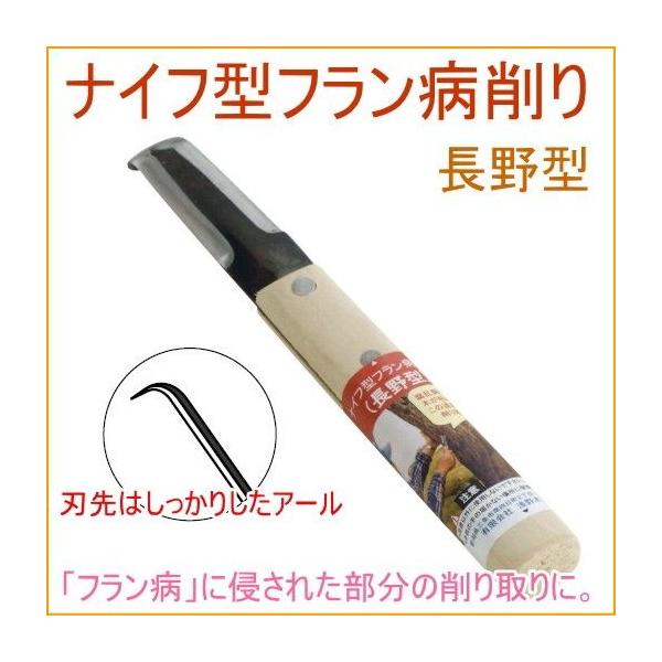 iCt^ta ^ 09340 | K[fjO  ʎ    S t Q aC