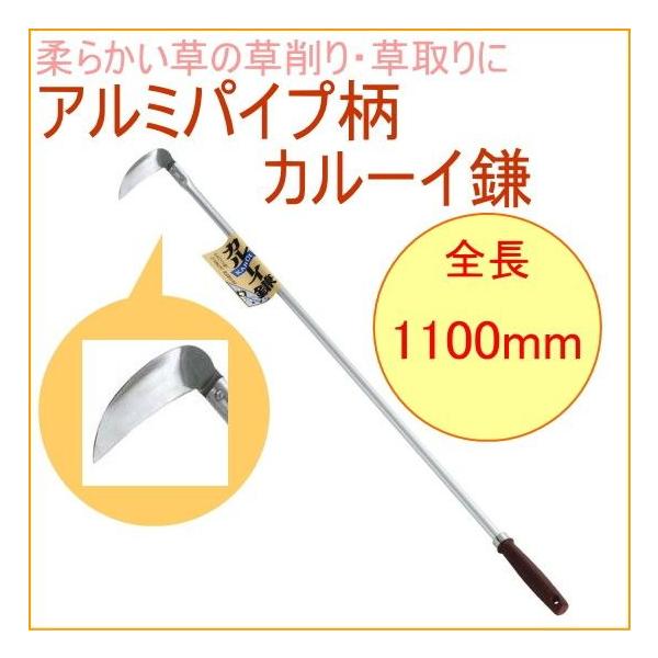 A~pCv J[C 10095      ~ ~  G z[  y