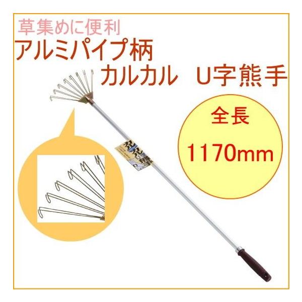 A~pCv JJ UF 10115   W  N}f | |  y