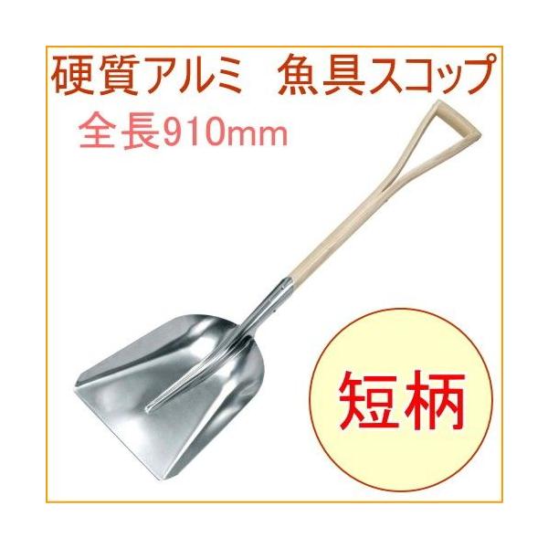 dA~ XRbv Z 22010 | K[f K[fjO ƒ؉ AEghA Ⴉ Vx Vx