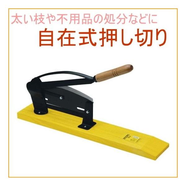 ݎ؂ 28050 | K[f K[fjO ƒ؉  Jbg ؒf  ̂