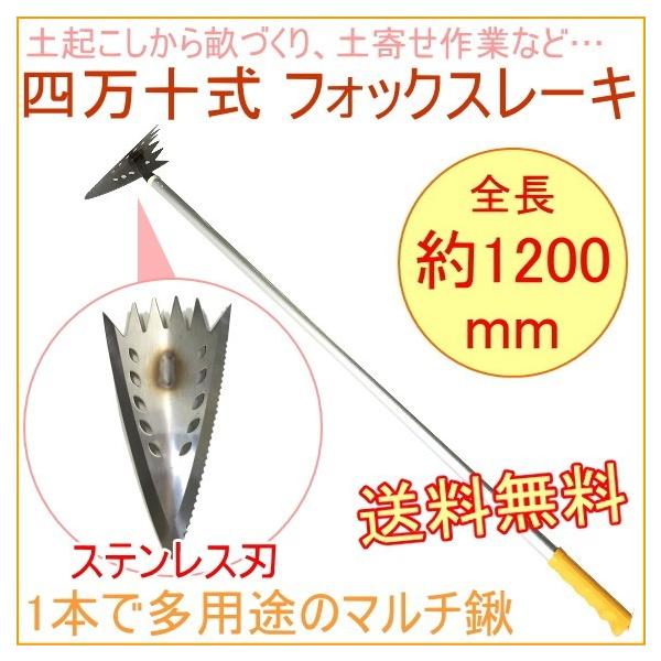 A~pCv tHbNX[L 35550  {   @      k L 