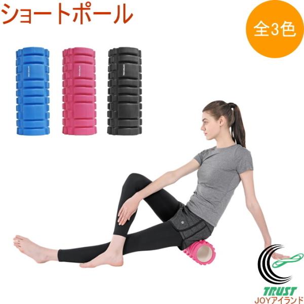 CAPTAIN STAG キャプテンスタッグ Vit Fit ショートポール 全3色 CAPTAIN STAG キャプテンスタッグ Vit Fit ショートポール 全3色
