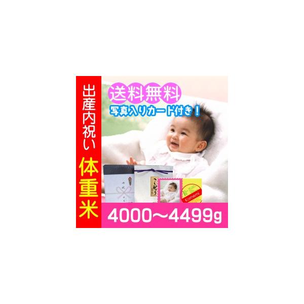 oYj ̏d 4000g-4499g^V oYj   EGCgCX bZ[WJ[h ʐ^  V Ԃ j Ԃ Mtg 