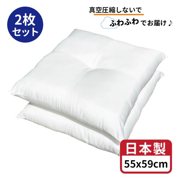 わた入 ヌード 座布団 中身 55×59cm 2枚 セット 日本製