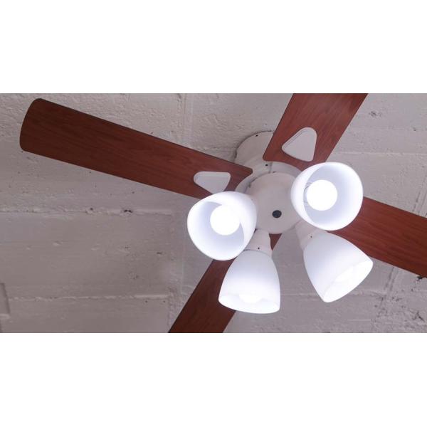 SCg V[Ot@@4L Rt@MdEd^uvΉ@zCg@BIG-101