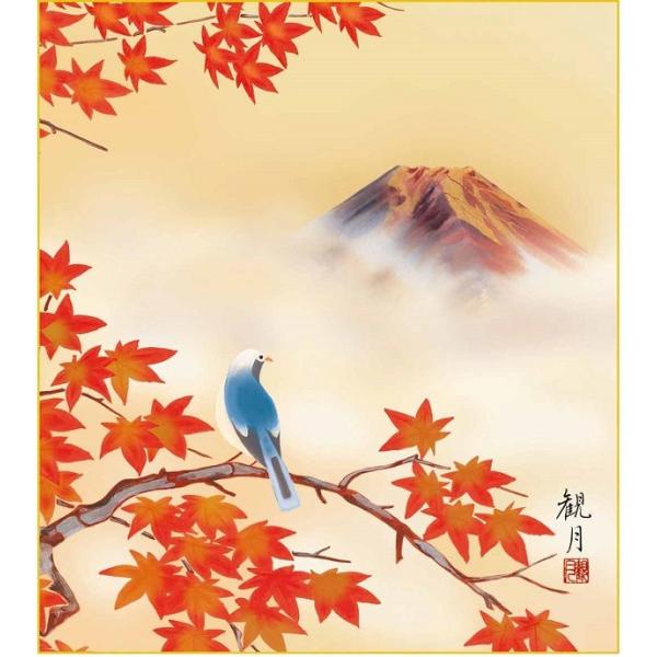 FH|F1 tHi gtɕxm FXRό K5-013