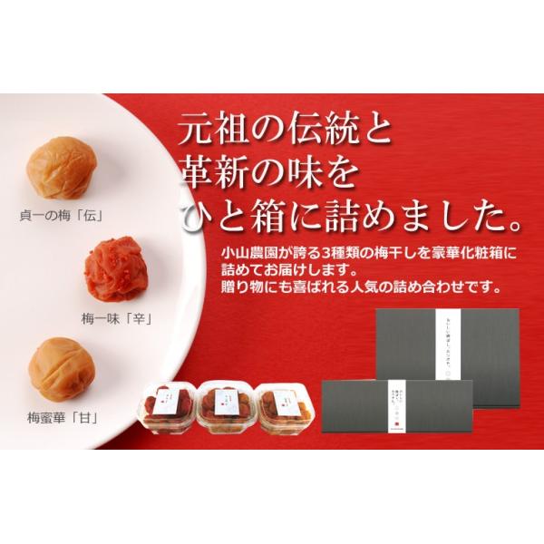 Hׂ3ރZbg@a̎RIB ݂Ȃ׎Y ~ 3 e250g Zbg [J[d