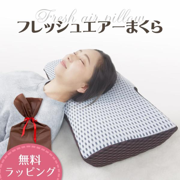 フレッシュエアー まくら 樹脂ファイバー 丸ごと洗える カバー脱着式 通気性 ハニカム メッシュ 清潔 枕カバー 枕 いびき 横向き 夏 屋外 お中元 ラッピング対応