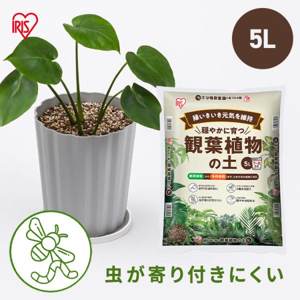 観葉植物 多肉植物 土 5L 園芸 培養土 園芸用土 赤玉土配合 元肥2種入り たい肥不使用 アイリスオーヤマ 穏やかに育つ観葉植物の土 IHPC-5L *