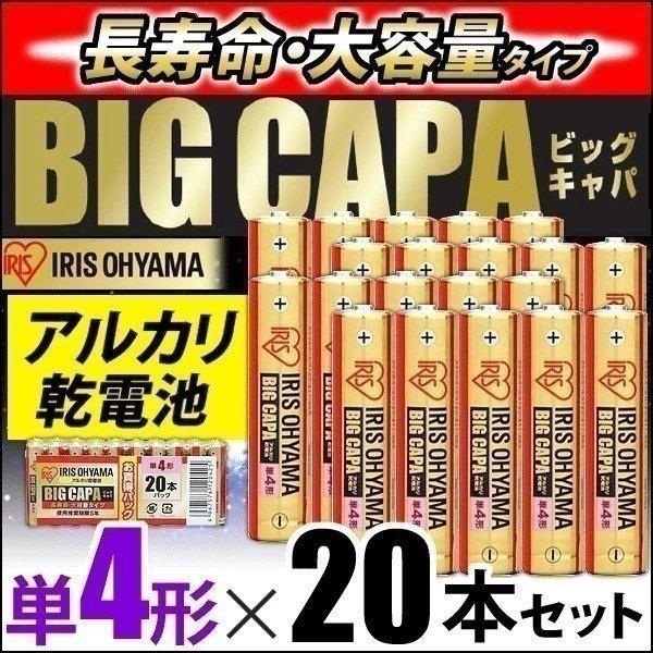 IRIS OHYAMA（アイリスオーヤマ） アルカリ乾電池 BIG CAPA 長寿命・大 