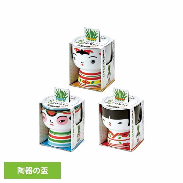 （検索用：栽培キット 栽培セット 芝 おちょぼ ぼうず おかっぱ 聖新陶芸 4528757042549 4528757042532 4528757042525）●翌日優良配送対象商品につきまして●下記の場合は対象外となります。・13時以降(...