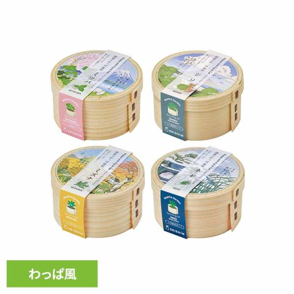 （検索用：栽培キット 栽培セット 三つ葉 しそ 水菜 ネギ 葱 聖新陶芸 4528757042617 4528757042600 4528757042594 4528757042587）●翌日優良配送対象商品につきまして●下記の場合は対象外...