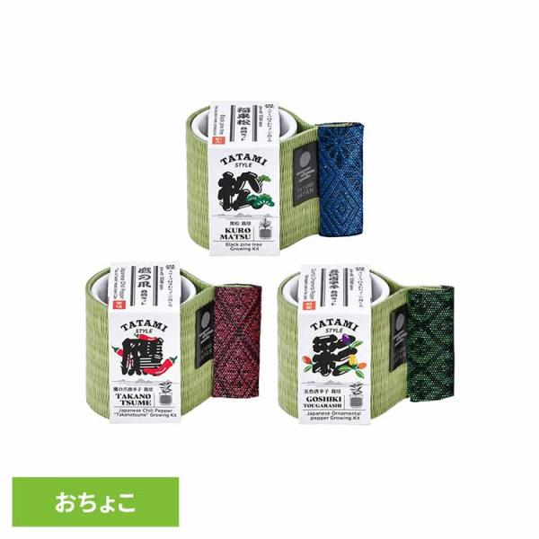 （検索用：栽培キット 栽培セット 黒松 鷹の爪 五色とうがらし 聖新陶芸 4528757042648 4528757042631 4528757042624）●翌日優良配送対象商品につきまして●下記の場合は対象外となります。・13時以降(休...