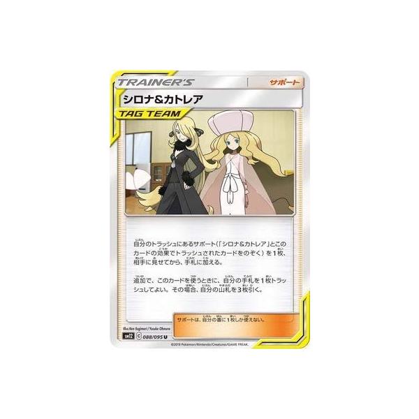 送料無料 新品 シロナ Pk12 Sr カトレア その他 Labelians Fr