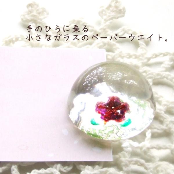 KX׍H@~j`A@G݁@u@@@̂ЂɁAKX̃y[p[EGCg@TN