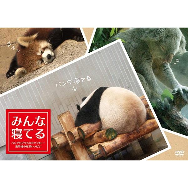 みんな寝てる パンダもゾウもカピバラも 動物達の寝顔いっぱいー Dvd Dvd Buyee Buyee Japanese Proxy Service Buy From Japan Bot Online