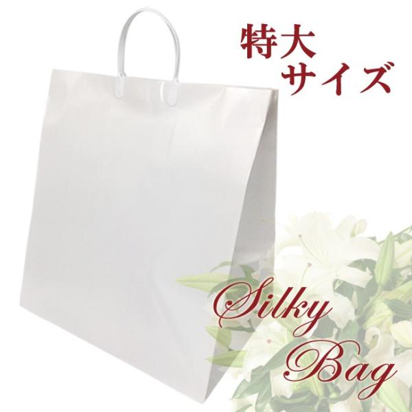  o  yVL[zq  rTCY  MtgobO uC_