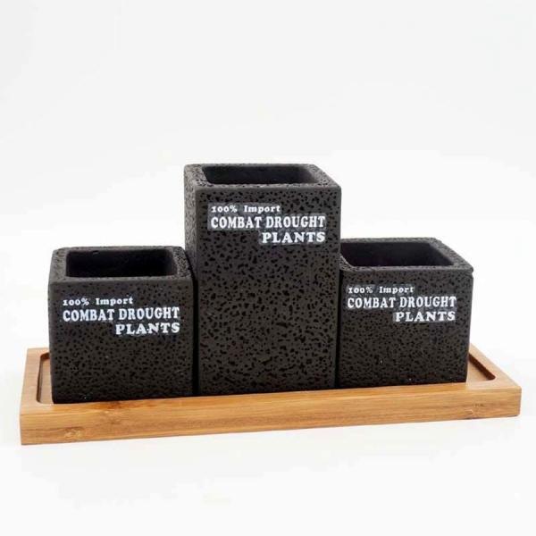 多肉 鉢 セット みんな探してる人気モノ 多肉 鉢 セット