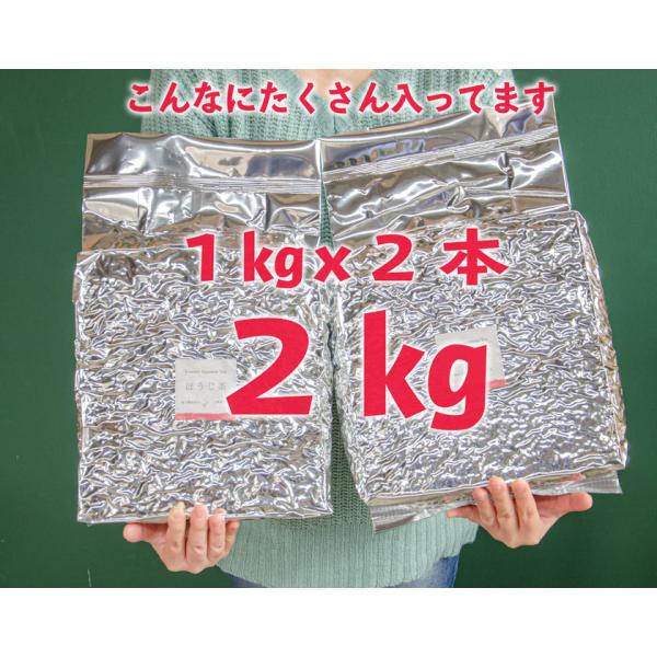 お茶旅 ほうじ茶 お茶 緑茶 日本茶 徳用 お得 業務用 ちょっと贅沢なほうじ茶 2kg 福袋 数量限定 送料無料