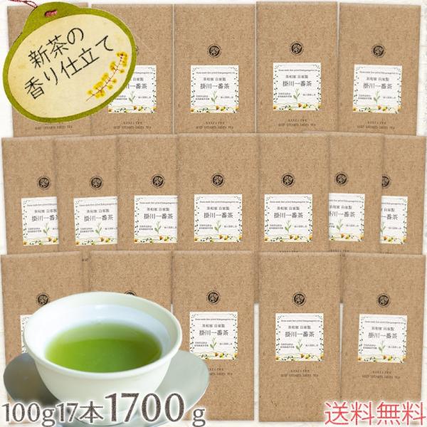 お茶 茶葉 緑茶 掛川茶 静岡茶 深蒸し茶 お茶旅 自家製 掛川一番茶 100g17本 全国茶品評会 深蒸し茶の部 産地賞受賞