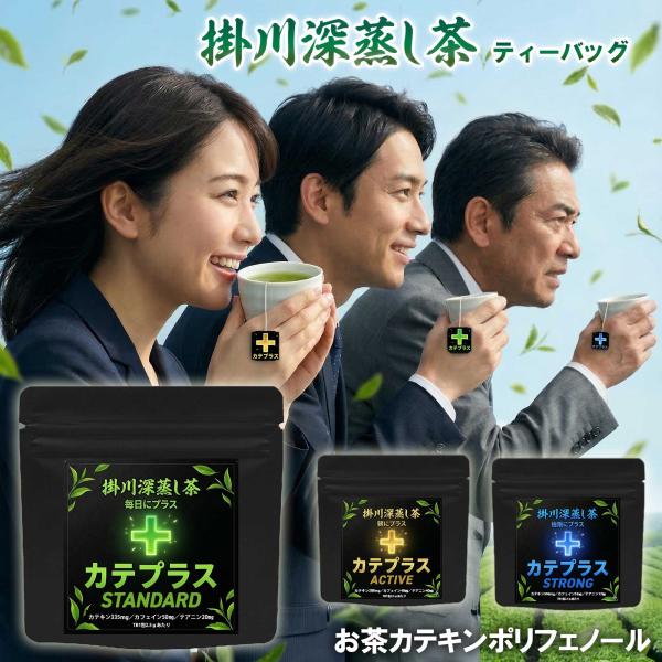 高濃度カテキン 緑茶 ティーバッグ 『カテプラス』 選べる3種 (ACTIVE / STANDARD / STRONG) 掛川深蒸し茶 お茶旅 木村園 日本茶 水筒 マイボトル 冷茶 送料無料