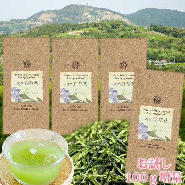 沢山作りすぎちゃったので おすそ分け 一番茶の芽茎茶100g×3本 さらに100g増量！なななんと合計400g でさらに 送料無料！