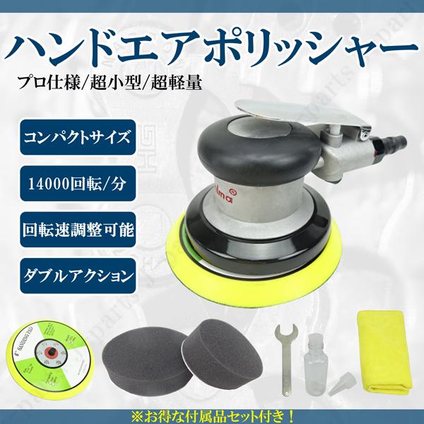 昆虫用品 昆虫標本 6点セット 標本箱入りヘビトンポ、バイオリンムシ