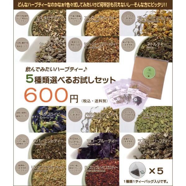 ファインハーブ５袋 ひとまず飲んでみたい！」選べるお試しハーブティー 5点セット