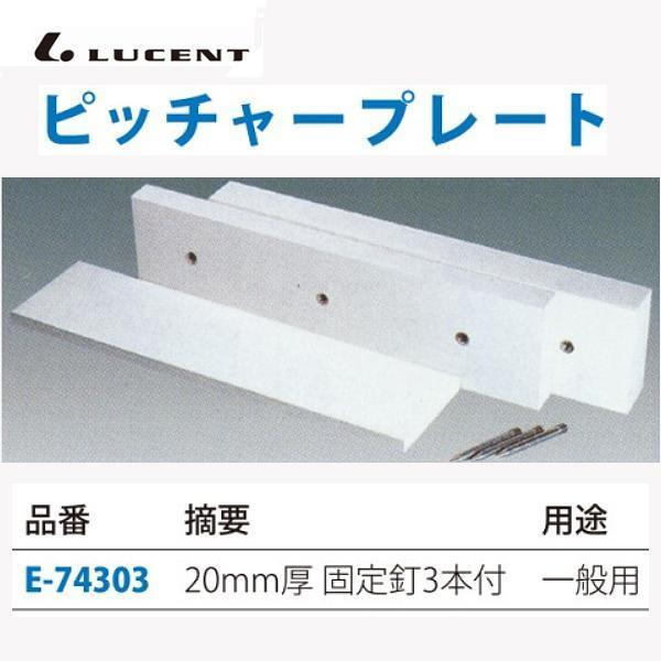 [Zg sb`[v[g 20~iŒj E74303 2025NP