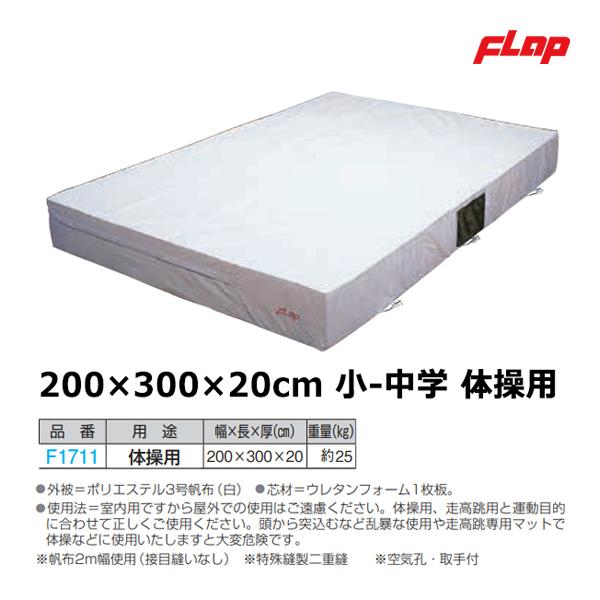 フラップ エバーマット(室内用)体操用 200×300×20cm 大型品 F1711