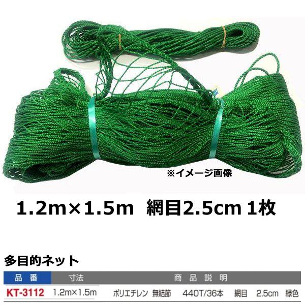 寺西喜 多目的ネット 緑色 KT-3112 ＜2024＞
