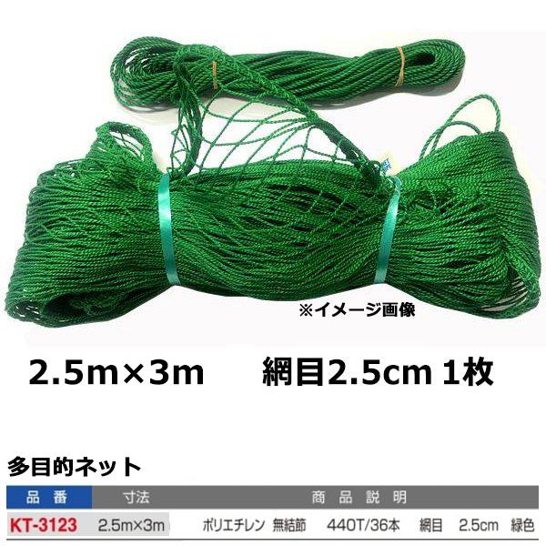 寺西喜 多目的ネット 緑色 KT-3123 ＜2024＞