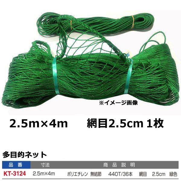 寺西喜 多目的ネット 緑色 KT-3124 ＜2024＞