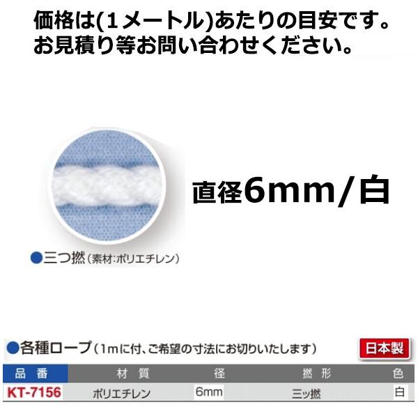 jpn-sports_kt-7156-teranishiki