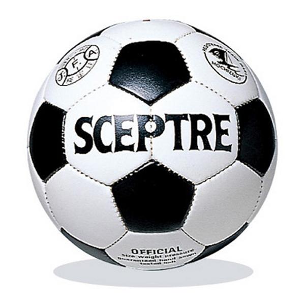 セプター サッカーボール Sp 10 ギガランキングｊｐ