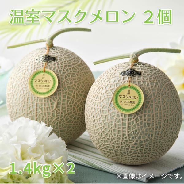 温室マスクメロン２個　送料込み