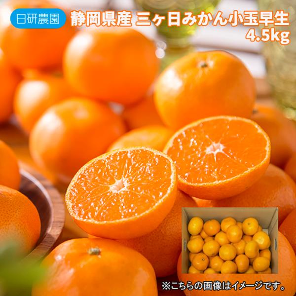 静岡県産　三ヶ日みかん小玉早生　４．５ｋｇ 送料込み