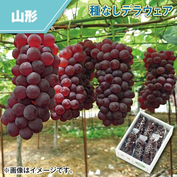 ぶどう 桃太郎ぶどう 瀬戸ジャイアンツ 岡山県産 瀬戸町 | G-Call