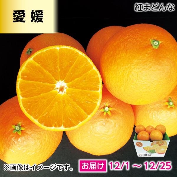 みかん 紅まどんな 1.5kg : 郵便局物販サービスYahoo!店 - 通販