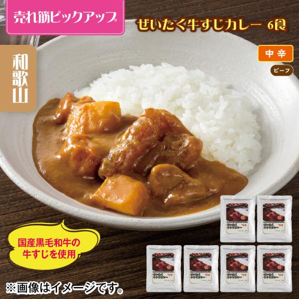 カレー ぜいたく牛すじカレー 6食 : 郵便局物販サービスYahoo!店